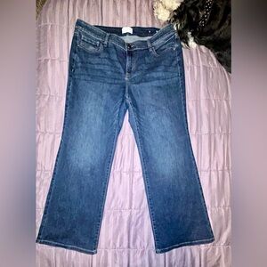 Lane Bryant Signature Jeans 18S, Boot Cut